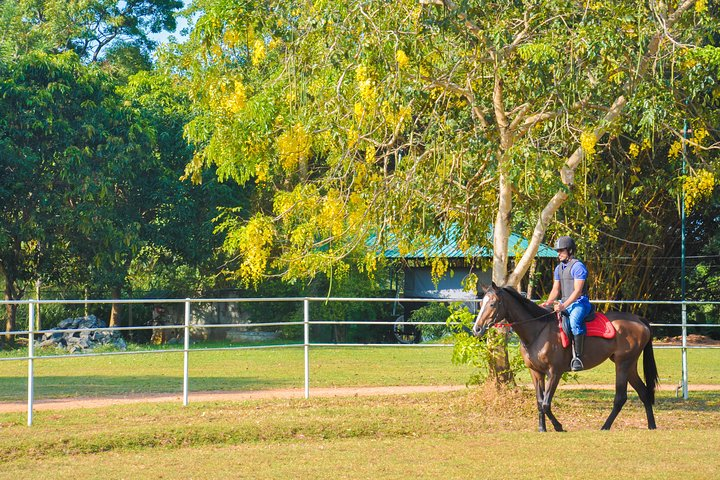 Horse Riding for Beginners from Sigiriya - Photo 1 of 6